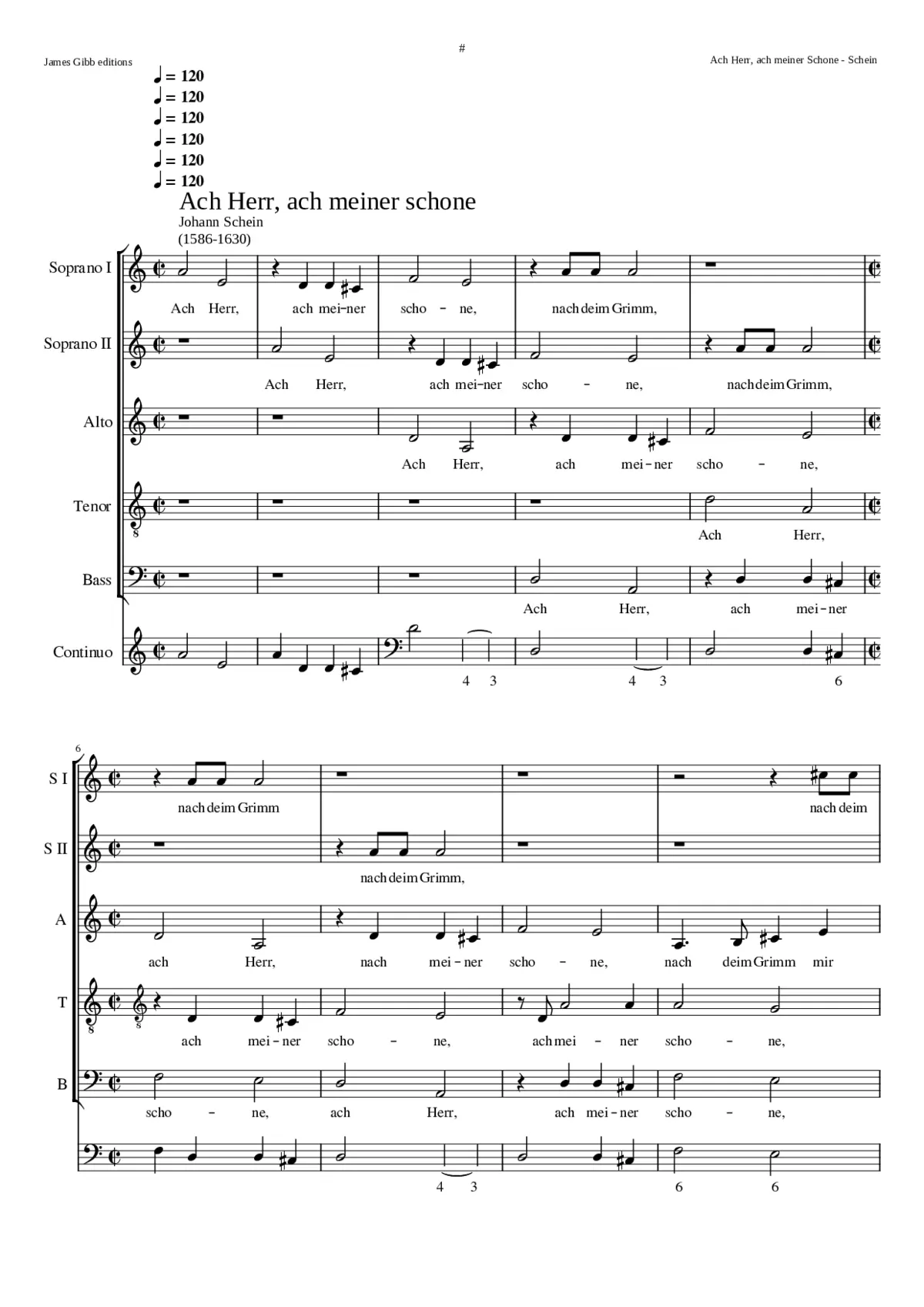 Ach Herr ach meiner schone - Page 1