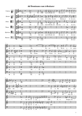 Ad Dominum cum tribularer