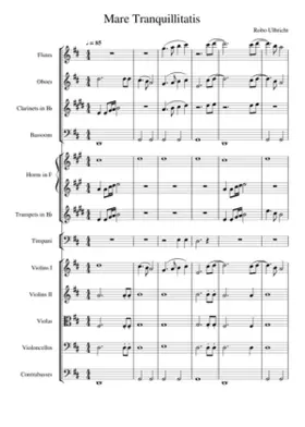 Mare Tranquillitatis