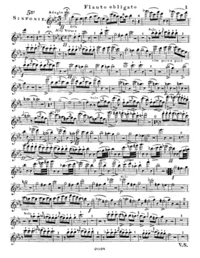 Symphony No.5
