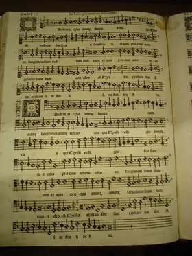 Gaudent in coelis animae Sanctorum