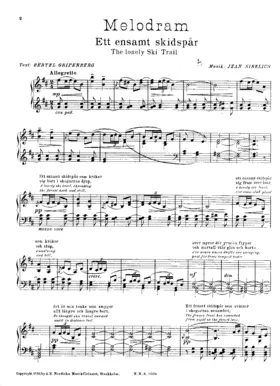 The Lonely Ski Trail