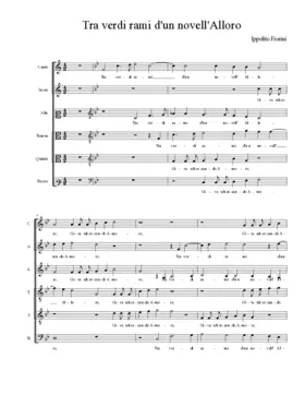 Tra verdi rami d'un novell' Alloro