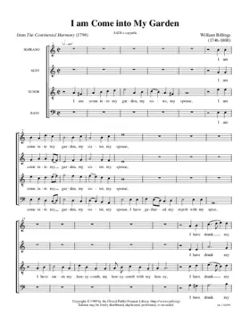 I am come into my garden