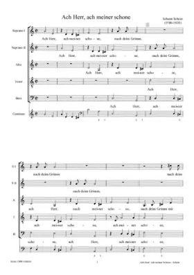 Ach Herr, ach meiner schone