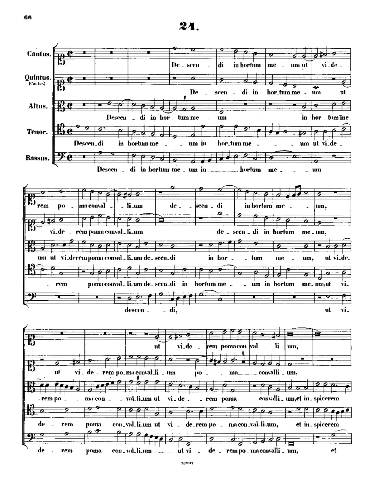 Descendi in hortum meum - Page 1