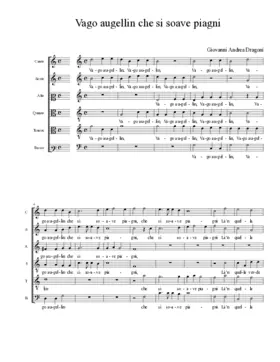 Vago augellin che si soave piagni