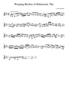 The Weeping Birches Of Kilmorack