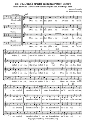 Donna crudel tu m'hai robat' il core