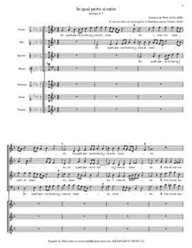 In qual parte si ratto