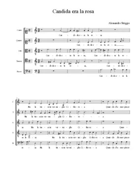 Candida era la rosa