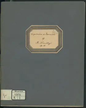 12 Capriccios and Exercises