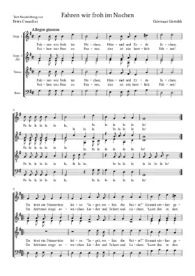 Fahren wir froh im Nachen
