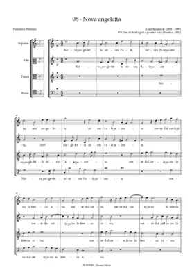 Nuova angioletta sovra l'ale accorte