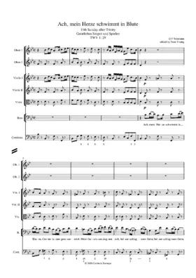 Ach, mein Herze schwimmt in Blute