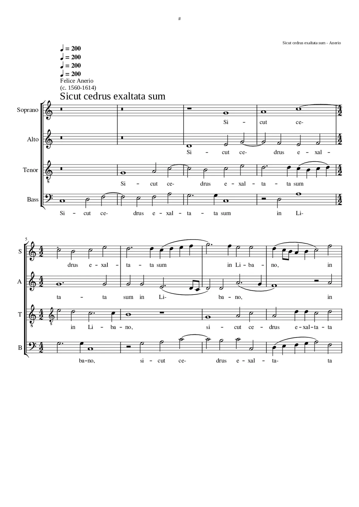 Sicut cedrus exaltata sum - Page 1