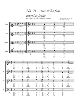 Amor m'ha fato deventar fenice