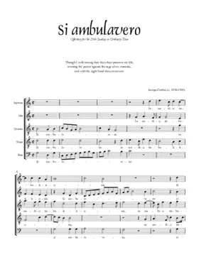 Si ambulavero