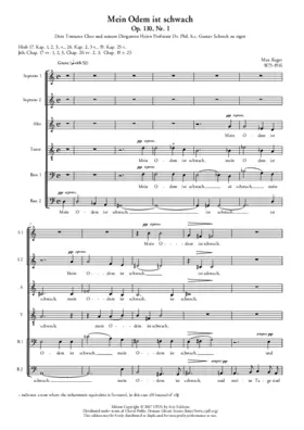 Mein Odem ist schwach, Op. 110, No. 1