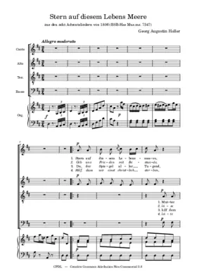 Stern auf diesem Lebens Meere