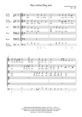 Drei schöne Ding sind