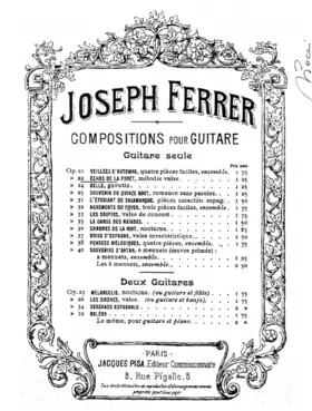 Échos de la forêt