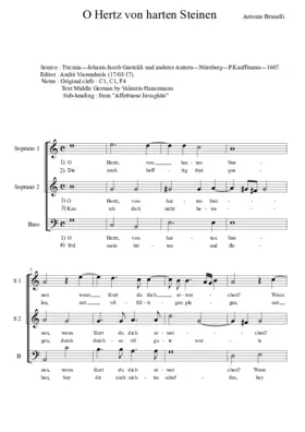 O Herz von harten Steinen