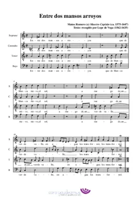 Entre dos mansos arroyos