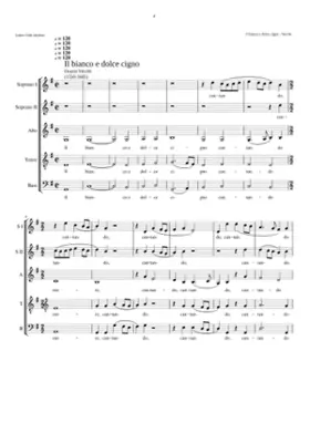 Il bianco e dolce cigno