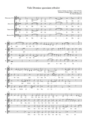 Vide Domine quoniam tribulor