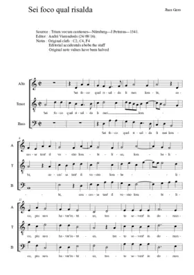 Sei foco qual risalda