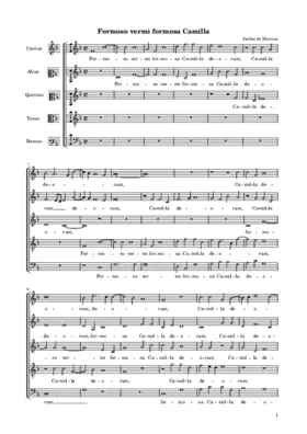 Formoso vermi formosa Camilla