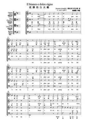 Il bianco e dolce cigno