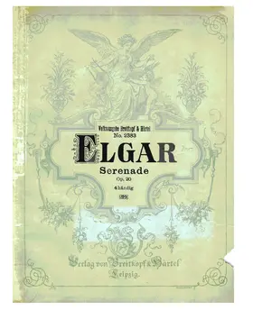 Serenade for String Orchestra