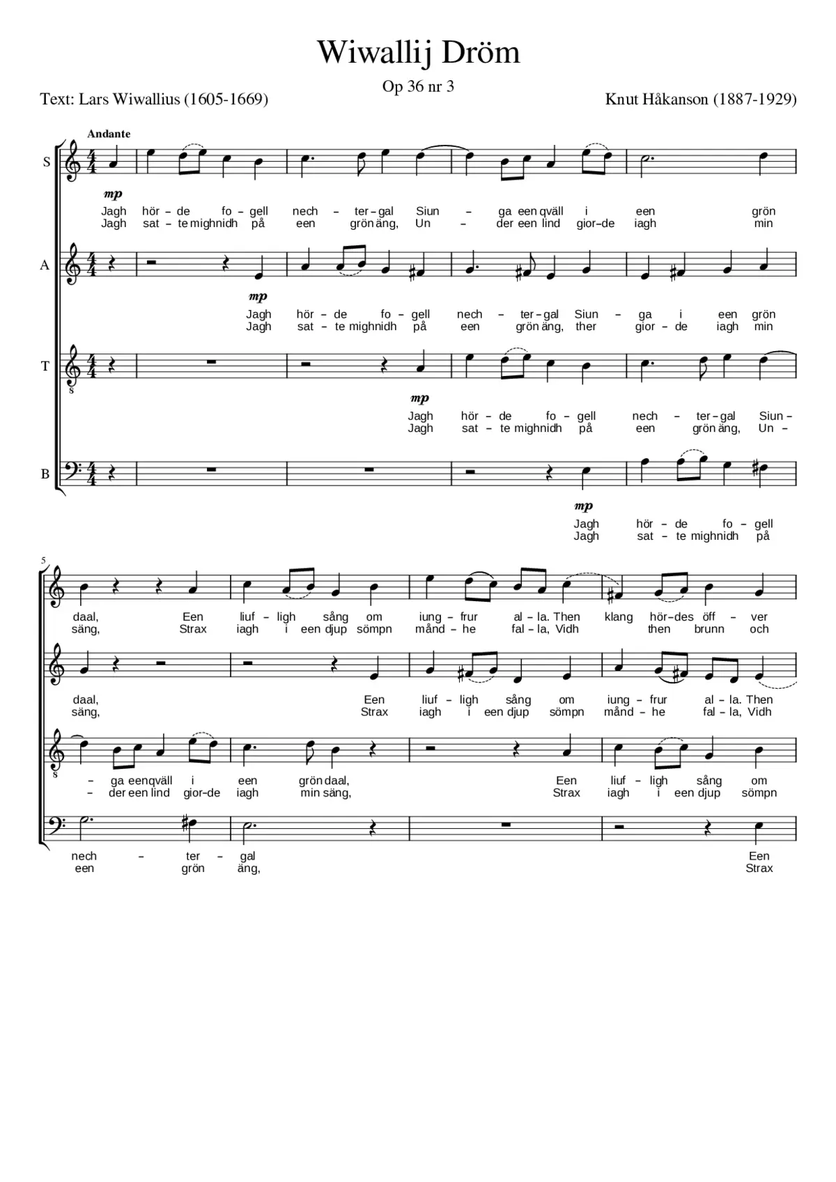 Wiwallij Dröm - Page 1