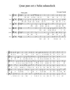 Quae pars est o Selin salamelech