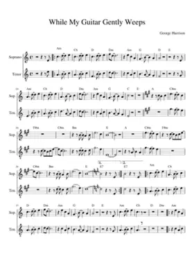 while my guitar gently weeps