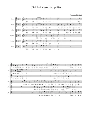 Nel bel candido petto