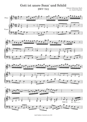 Gott der Herr ist Sonn und Schild BWV 79