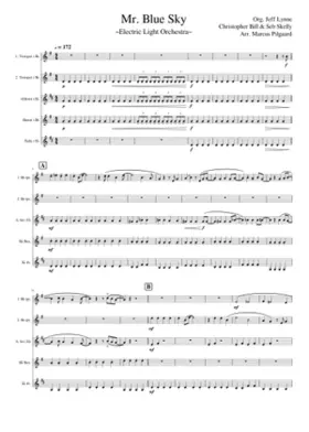 Mr Blue Sky