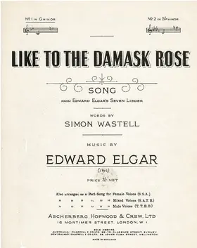 Like to the Damask Rose