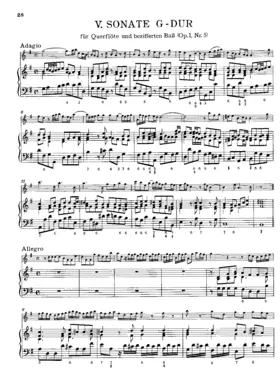 Flute Sonata in G major