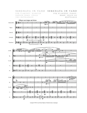 Serenata in vano