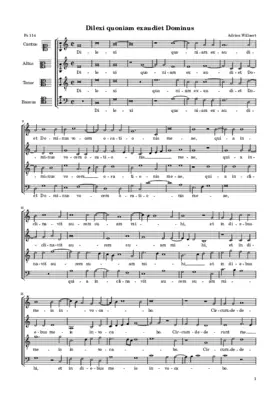 Dilexi quoniam exaudiet Dominus