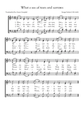 What a sea of tears and sorrows