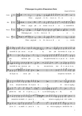 Chiunque in petto d'amoroso foco