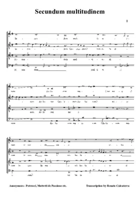 Secundum multitudinem