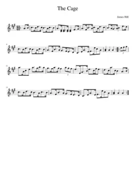 The Cage