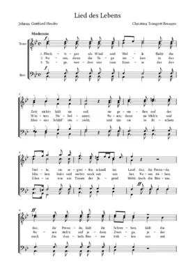 Lied des Lebens