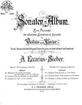Violin Sonata in D minor